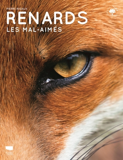 couverture du livre Renards Les mal-aimés