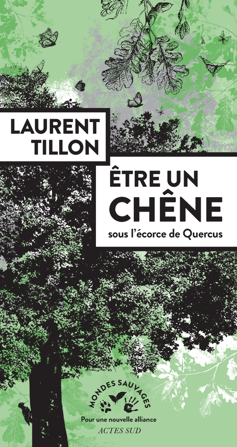 couverture du livre Être un chêne, sous l'écorce de Quercus