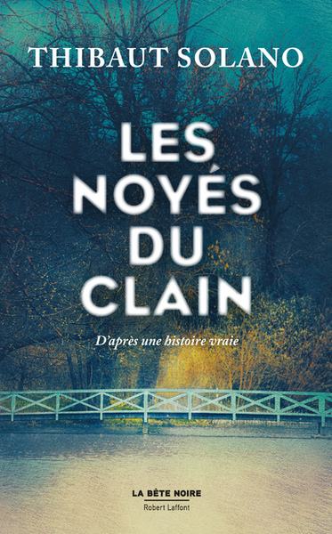 couverture du livre Les noyés du Clain