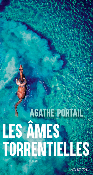 couverture du livre Les âmes torrentielles