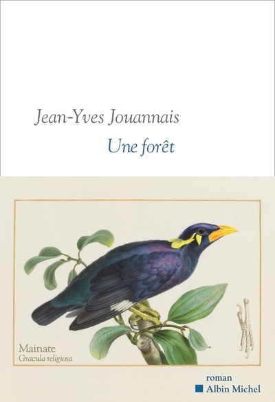couverture du livre Une forêt