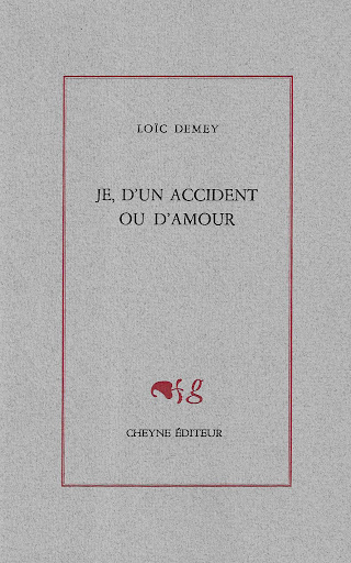 couverture du livre Je, d'un accident ou d'amour